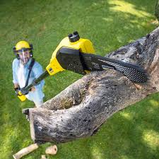 Best Grass Overseeding  in Bayshore Gardens, FL