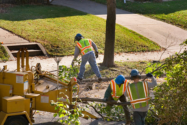 Best Storm Damage Tree Cleanup  in Bayshore Gardens, FL